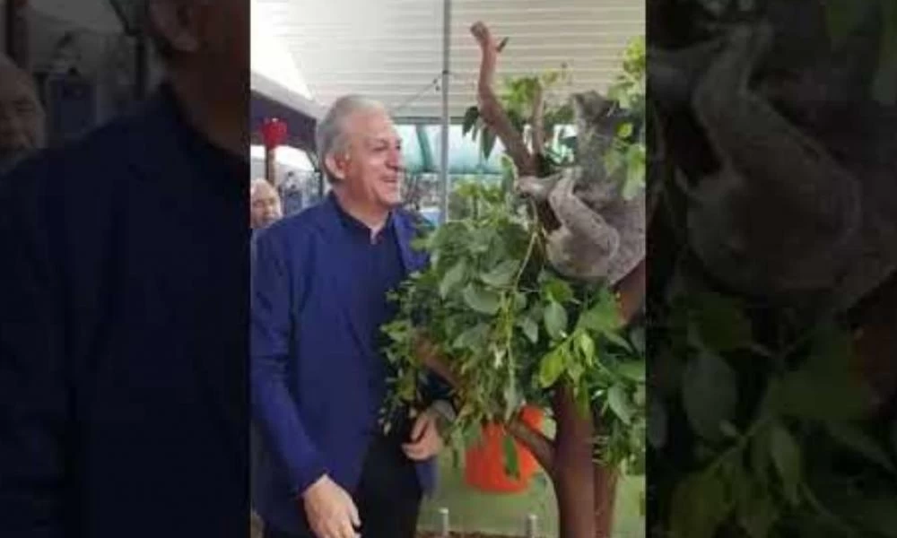 Κοάλα έριξε… χαστούκι σε Κύπριο βουλευτή (βίντεο)